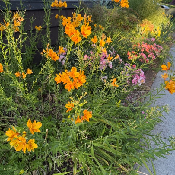 Meet your Posher, T - Picture 3 of 10